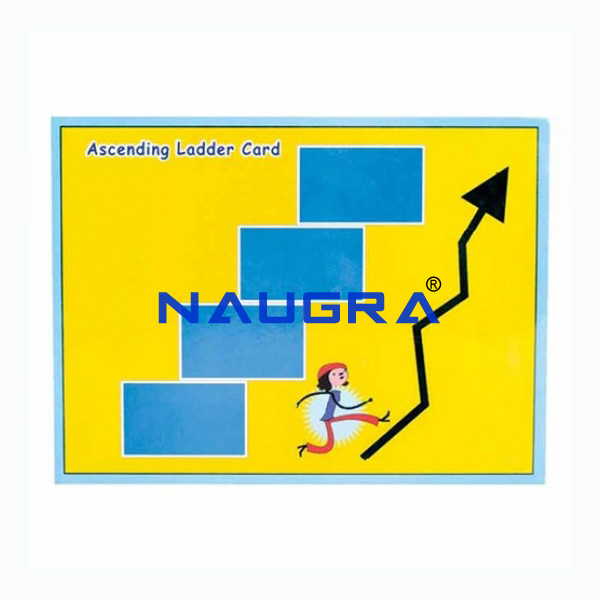 Descending Card Game - TVET Lab Equipment Manufacturer India