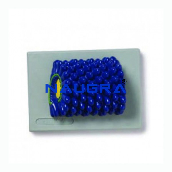 Tobacco Mosaic Virus - TVET Lab Equipment Manufacturer India