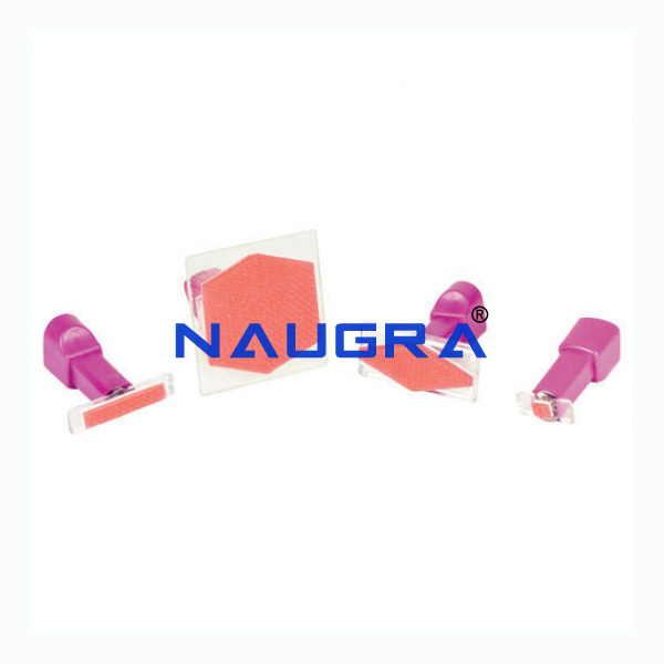 Base Ten Stamp Set - TVET Lab Equipment Manufacturer India
