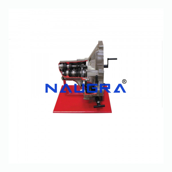 Sectioned Manual Gearbox Trainer - TVET Lab Equipment Manufacturer India