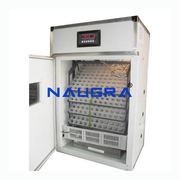 EGG Incubator - TVET Lab Equipment Manufacturer India