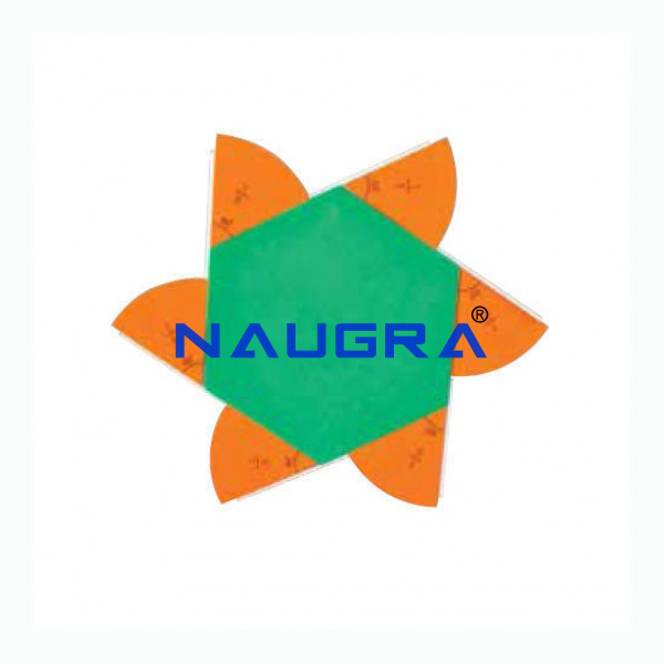 Exterior Angle of Regular Polygan - TVET Lab Equipment Manufacturer India