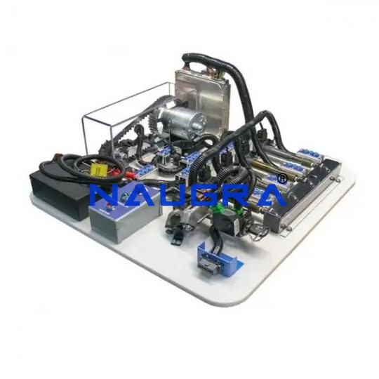 Coil on Plug Ignition System Trainer - TVET Lab Equipment Manufacturer India