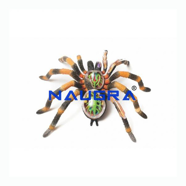 Workshop Tools and Consumables - TVET Lab Equipment Manufacturer India