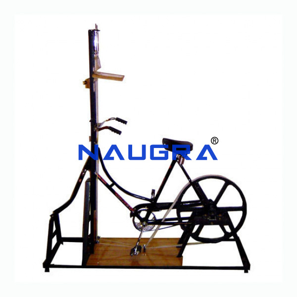 Bicycle Ergograph - TVET Lab Equipment Manufacturer India