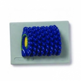 Tobacco Mosaic Virus Manufacturer India
