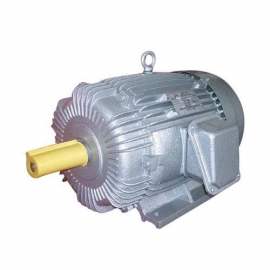 Three Phase Wound Rotor Induction Motor Manufacturer India